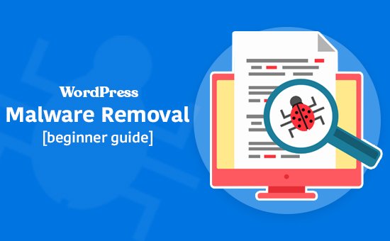 Best WordPress Malware Removal Plugins