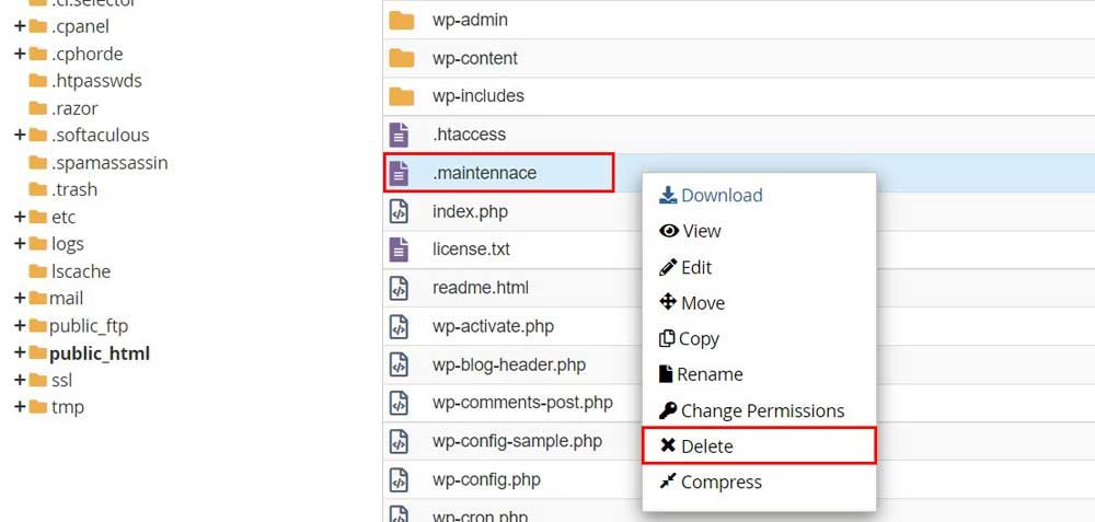 Delete-Dot-Maintenance-File 