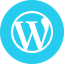 WordPress Icon