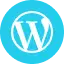 WordPress Icon