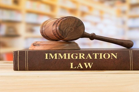 Immigration Law